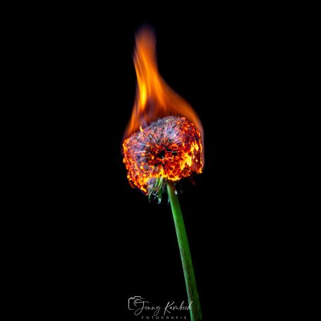 Eine brennende Zündholz mit Flamme und leuchtendem Kopf auf schwarzem Hintergrund.