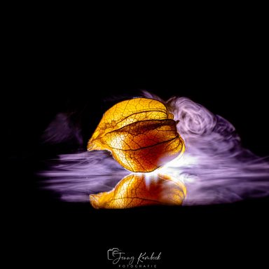 Eine gelbe Physalis reflektiert sich auf einer dunklen Oberfläche mit Rauch.